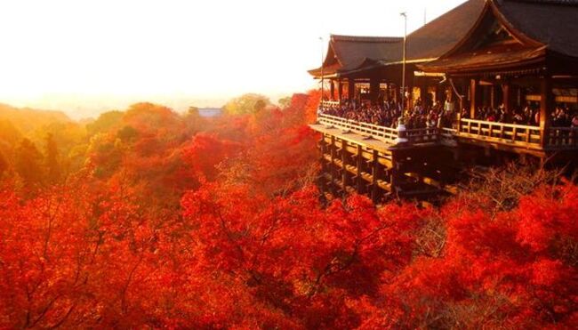資格ゲッターズのオススメ資格集 あの芸能人も持っている 世界遺産検定3級 学生記者 ニコニコニュース 資格ゲッターズのオススメ資格集 あの芸能人も持っている 世界遺産検定3級 学生記者 ニコニコニュース