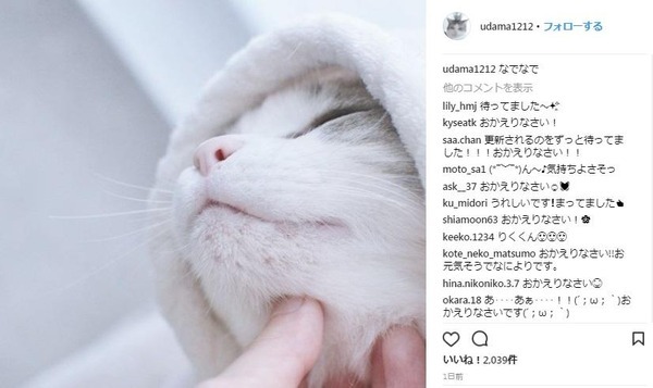 2度めの正直 猫漫画家のうだまさん 再び活動を再開 ニコニコニュース 2度めの正直 猫漫画家のうだまさん 再び活動を再開 ニコニコニュース