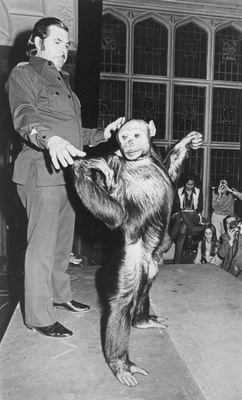 人間とチンパンジーの交配により産まれた混種が過去に存在 研究者から 非道徳的 だと批判され消される ニコニコニュース
