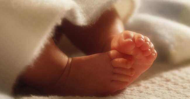 2ヶ月の乳児を暴行した殺人未遂の男 虐待を止めない母親 に批判が相次ぐ ニコニコニュース 2ヶ月の乳児を暴行した殺人未遂の男 虐待を止めない母親 に批判が相次ぐ ニコニコニュース