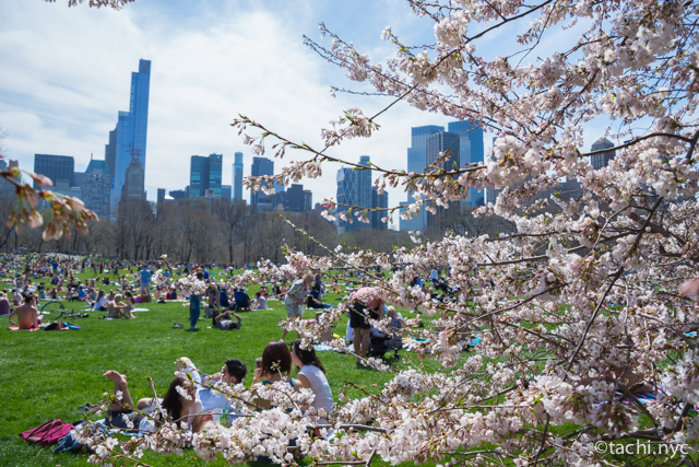 春のニューヨークで何を着ればいい ３ ５月の天気 気温 現地の服装 ニコニコニュース
