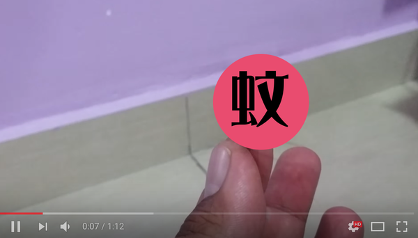 世界一巨大な 蚊 が想像以上にデカい 刺されたらめちゃくちゃ痒そう ニコニコニュース