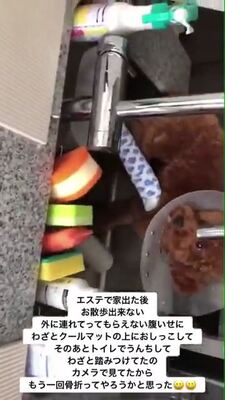 動画 六本木のキャバ嬢が愛犬プードルの足をへし折るなどの虐待で大炎上 犬は怯えシンクに逃げ込む 追記 ニコニコニュース 動画 六本木のキャバ嬢が愛犬プードルの足をへし折るなどの虐待で大炎上 犬は怯えシンクに逃げ込む 追記 ニコニコニュース