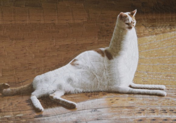 写真で遺伝子組み換え的な 愛猫の写真を切り貼りして新たなるペットを生み出すフォトモンタージュ ニコニコニュース