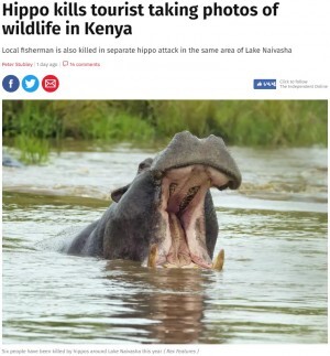 野生のカバ 写真撮影していた中国人観光客を襲い死なせる ケニア ニコニコニュース