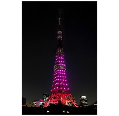 中秋の名月 東京タワーで見るか 東京スカイツリーで見るか ニコニコニュース