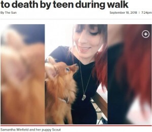 ポメラニアンの子犬 散歩中に10代少年グループに蹴り殺される 英 ニコニコニュース