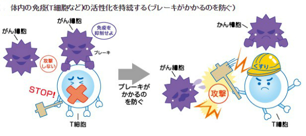 注目のがん免疫療法 専門家は 有効なものはわずか と警鐘 オプジーボも万能でない ニコニコニュース 注目のがん免疫療法 専門家は 有効なものはわずか と警鐘 オプジーボも万能でない ニコニコニュース