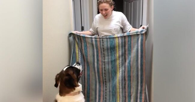 したり顔で愛犬に 突然消えるマジック をやろうとした女性 しかし自分が驚く結果になってしまい世界中で話題に笑 涙が出る ニコニコニュース したり顔で愛犬に 突然消えるマジック をやろうとした女性 しかし自分が驚く結果になってしまい世界中で話題に笑 涙が出る ニコニコニュース