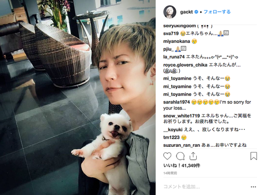 Gackt アニメ化もされた愛犬との別れを報告 ファンも悲しみの声 ニコニコニュース