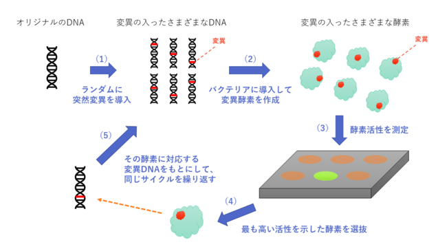 ニコニコニュース