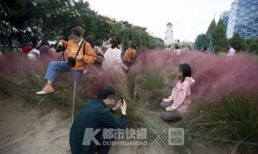 インスタ映え 中国人観光客が綺麗な花畑で撮影したいがために立ち入り花を踏み破壊 花がバキバキに ニコニコニュース