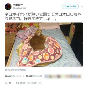 毛布でできた ネコホイホイ が好きすぎる猫の様子に和む人続出 ニコニコニュース