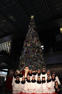 名古屋駅エリアで最大級ツリー Jrゲートタワーのクリスマスイルミネーションがスタート ニコニコニュース 名古屋駅エリアで最大級ツリー Jrゲートタワーのクリスマスイルミネーションがスタート ニコニコニュース