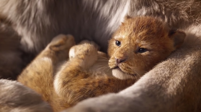 ディズニー実写映画 ライオン キング 予告映像が公開 シンバをラフィキが天に掲げるあの名シーンも完全再現 ニコニコニュース ディズニー実写映画 ライオン キング 予告映像が公開 シンバをラフィキが天に掲げるあの名シーンも完全再現 ニコニコニュース
