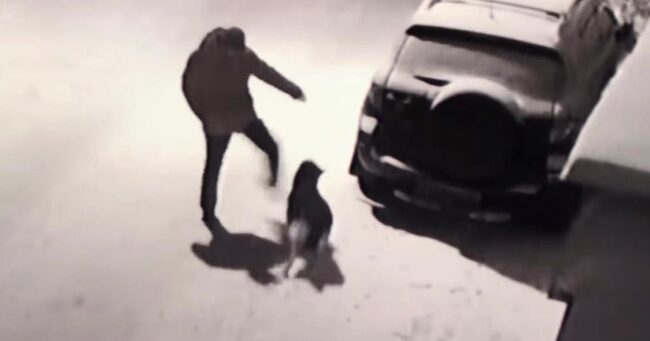 犬を蹴ろうとした酔っ払いが自業自得すぎることに 因果応報のお手本のような動画が話題に笑 ニコニコニュース 犬を蹴ろうとした酔っ払いが自業自得すぎることに 因果応報のお手本のような動画が話題に笑 ニコニコニュース