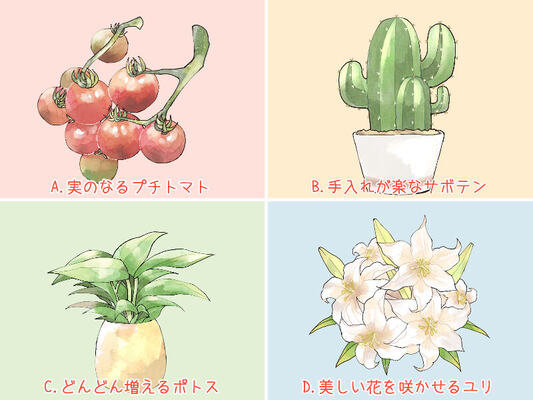 心理テスト あなたを好きになる男性のタイプは ニコニコニュース 心理テスト あなたを好きになる男性のタイプは ニコニコニュース