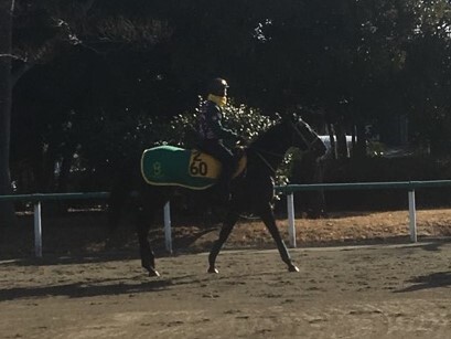 愛知杯 ウラヌスチャーム 連勝で本格化ムード ニコニコニュース