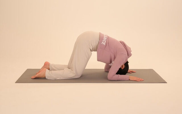 ウサギのポーズ お休み前にカラダスッキリ 養命酒ヨガ ニコニコニュース