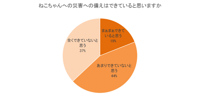 愛猫のための災害対策 対策できているのは2割未満 避難所生活のマナーなどにも不安も ニコニコニュース