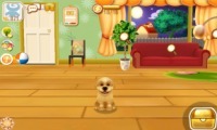 コレでいつでも愛犬と一緒に 育てて マイワンコ ニコニコニュース コレでいつでも愛犬と一緒に 育てて マイワンコ ニコニコニュース