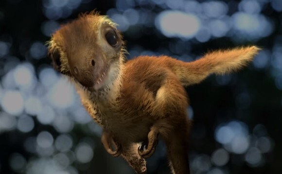 あれれ ティラノサウルスの赤ちゃんを再現したところモフモフでかわいかった件 米研究 ニコニコニュース あれれ ティラノサウルスの赤ちゃんを再現したところモフモフでかわいかった件 米研究 ニコニコニュース