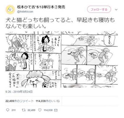 Twitter漫画 犬と猫のまんが がネットで大反響 主さまの ねこ待ってる 感 分かり過ぎです ニコニコニュース Twitter漫画 犬と猫のまんが がネットで大反響 主さまの ねこ待ってる 感 分かり過ぎです ニコニコニュース