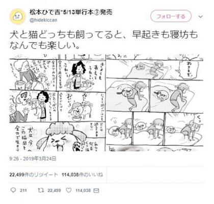 Twitter漫画 犬と猫のまんが がネットで大反響 主さまの ねこ待ってる 感 分かり過ぎです ニコニコニュース