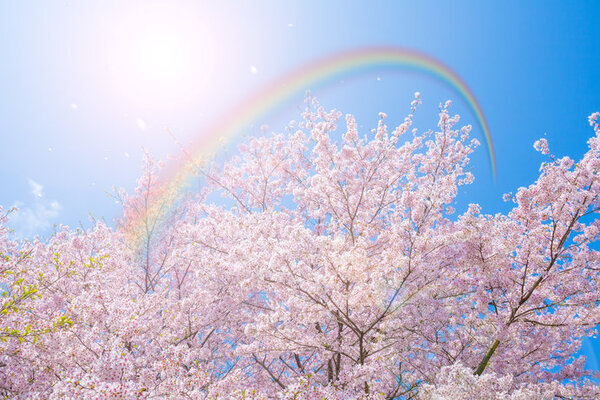 第十五候 虹始見 にじはじめてあらわる は二十四節気 清明 の末候です ニコニコニュース