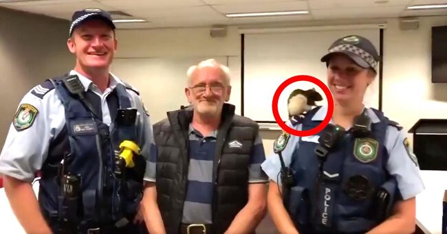 ニコニコニュース