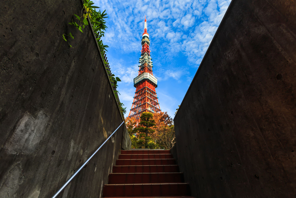 東京タワーを撮るなら おすすめの 映える 撮影スポット１３選 ニコニコニュース