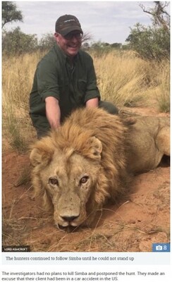 人間の傲慢の極み 娯楽と金のため繁殖 殺されるライオン ライオン ファームビジネス の残酷さ 南ア 動画あり ニコニコニュース 人間の傲慢の極み 娯楽と金のため繁殖 殺されるライオン ライオン ファームビジネス の残酷さ 南ア 動画あり ニコニコニュース