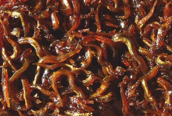 関東人は イカナゴの釘煮 を知らない Zip 特集に地元衝撃 全国区の食べ物だと ニコニコニュース 関東人は イカナゴの釘煮 を知らない Zip 特集に地元衝撃 全国区の食べ物だと ニコニコニュース