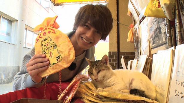 キンプリ高橋海人が 33億円稼ぐ猫 の謎を調査 うわさの猫にビックリ ニコニコニュース