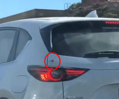 後続車は見た やばそうなクモが車の中に侵入していく瞬間を ニコニコニュース 後続車は見た やばそうなクモが車の中に侵入していく瞬間を ニコニコニュース