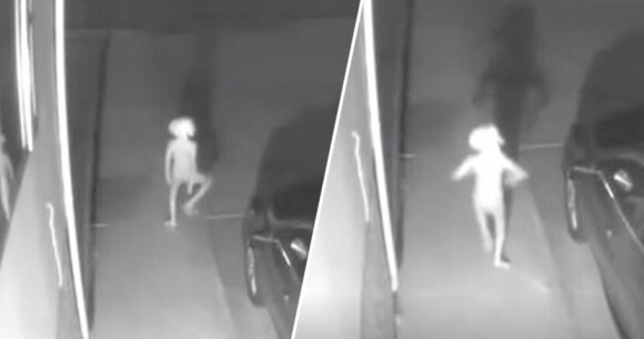 何この小さな謎生物 防犯カメラがとらえた ハリーポッター のドビーに激似な動的物体の正体は ニコニコニュース 何この小さな謎生物 防犯カメラがとらえた ハリーポッター のドビーに激似な動的物体の正体は ニコニコニュース
