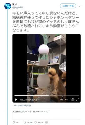 犬の しっぽぶんぶん でシャボン玉タワーが破壊される動画に まさに水の泡 イッヌー の声 ニコニコニュース