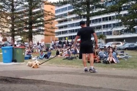 犬社会に横行している散歩から帰りたくないときの最終手段 ザ 死んだふり ニコニコニュース 犬社会に横行している散歩から帰りたくないときの最終手段 ザ 死んだふり ニコニコニュース