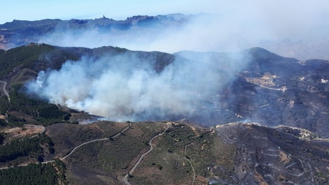 スペイン2部 山火事でも試合強行 ラスパルマスの延期要請を拒否 ニコニコニュース