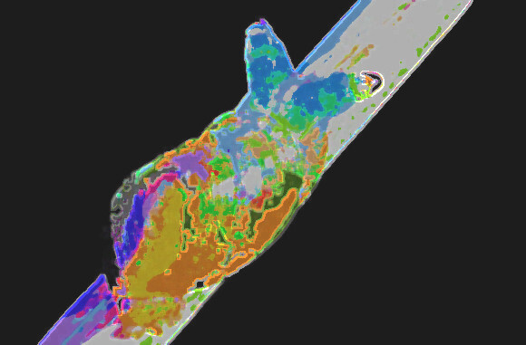 カタツムリの触角の中でグリグリとうごめく寄生虫 ロイコクロリディウムの恐ろしい映像が話題に 台湾 グリグリ注意 ニコニコニュース カタツムリの触角の中でグリグリとうごめく寄生虫 ロイコクロリディウムの恐ろしい映像が話題に 台湾 グリグリ注意 ニコニコニュース
