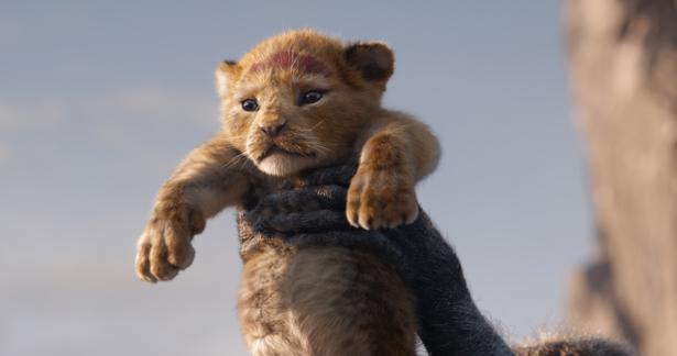 はーこのstageプラスvol 65 もふもふのベビー シンバが可愛すぎ 映画 ライオン キング が超楽しい ニコニコニュース はーこのstageプラスvol 65 もふもふのベビー シンバが可愛すぎ 映画 ライオン キング が超楽しい ニコニコニュース