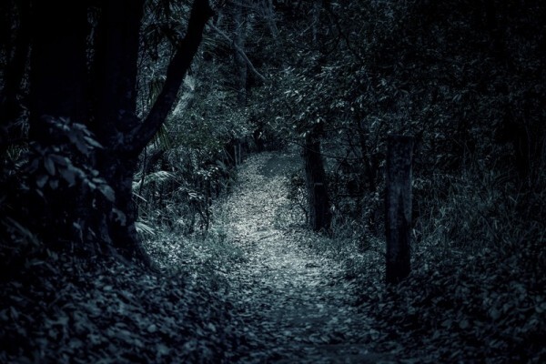 女子大生 殺人 アルバイト先 元同僚