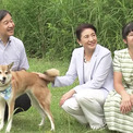 もっと広まって欲しい 天皇ご一家が飼っている犬が血統書付きではなく 雑種の保護犬であることが話題に ニコニコニュース もっと広まって欲しい 天皇ご一家が飼っている犬が血統書付きではなく 雑種の保護犬であることが話題に ニコニコニュース