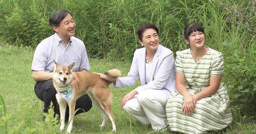 もっと広まって欲しい 天皇ご一家が飼っている犬が血統書付きではなく 雑種の保護犬であることが話題に ニコニコニュース もっと広まって欲しい 天皇ご一家が飼っている犬が血統書付きではなく 雑種の保護犬であることが話題に ニコニコニュース