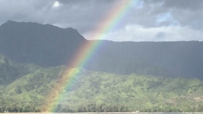 ハワイで楽しむ空の虹と旗の虹 ホノルル プライド パレードは今年も大盛況 ニコニコニュース