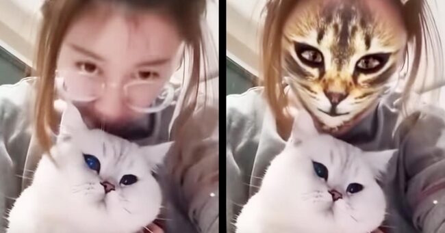 猫と一緒にスマホ画面を見ながら 猫顔アプリ をやった時の猫の反応が可愛すぎると世界中で話題に ニコニコニュース