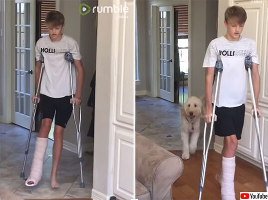 犬の共感力がすごい 松葉杖で歩く少年の後ろから同じように片足を引きずって歩く犬 ニコニコニュース