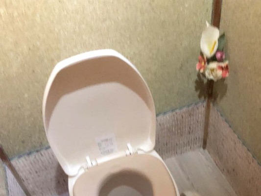 孫が久しぶりに見た 祖母宅のトイレ が 斬新すぎてザワつく ニコニコニュース