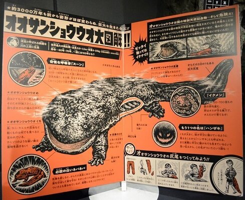 完全に 怪獣図鑑 のノリ 京都水族館のオオサンショウウオ展示がレトロで最高だった ニコニコニュース 完全に 怪獣図鑑 のノリ 京都水族館のオオサンショウウオ展示がレトロで最高だった ニコニコニュース