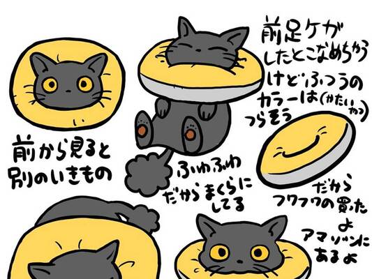 ドーナツ型クッション のエリザベスカラーはいいぞ 猫ちゃんの姿に反響 ニコニコニュース